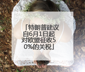 特朗普建议自6月1日起对欧盟征收50%的关税